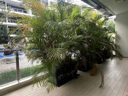 Waterscape at Cavenagh (D9), Apartment #529747911